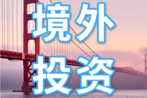 2025海外投资房产